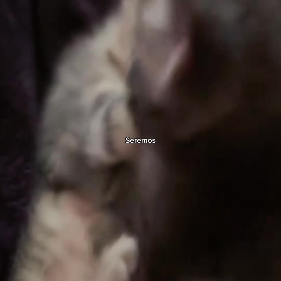 @𝒪𝓳𝓮𝓭𝓪𝓻𝓲𝓸