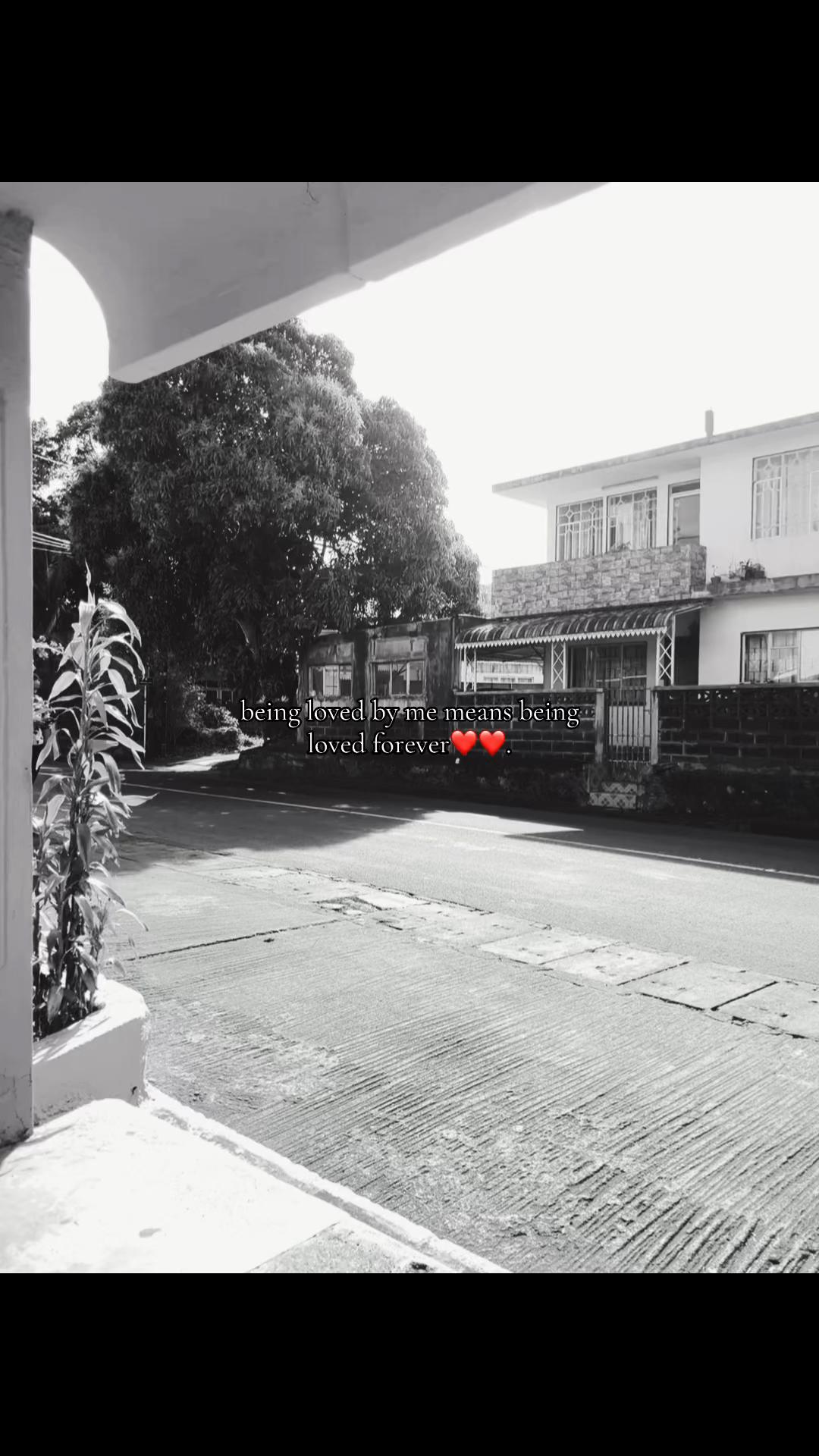 @𝟏𝟗𝟎𝟑🫐.