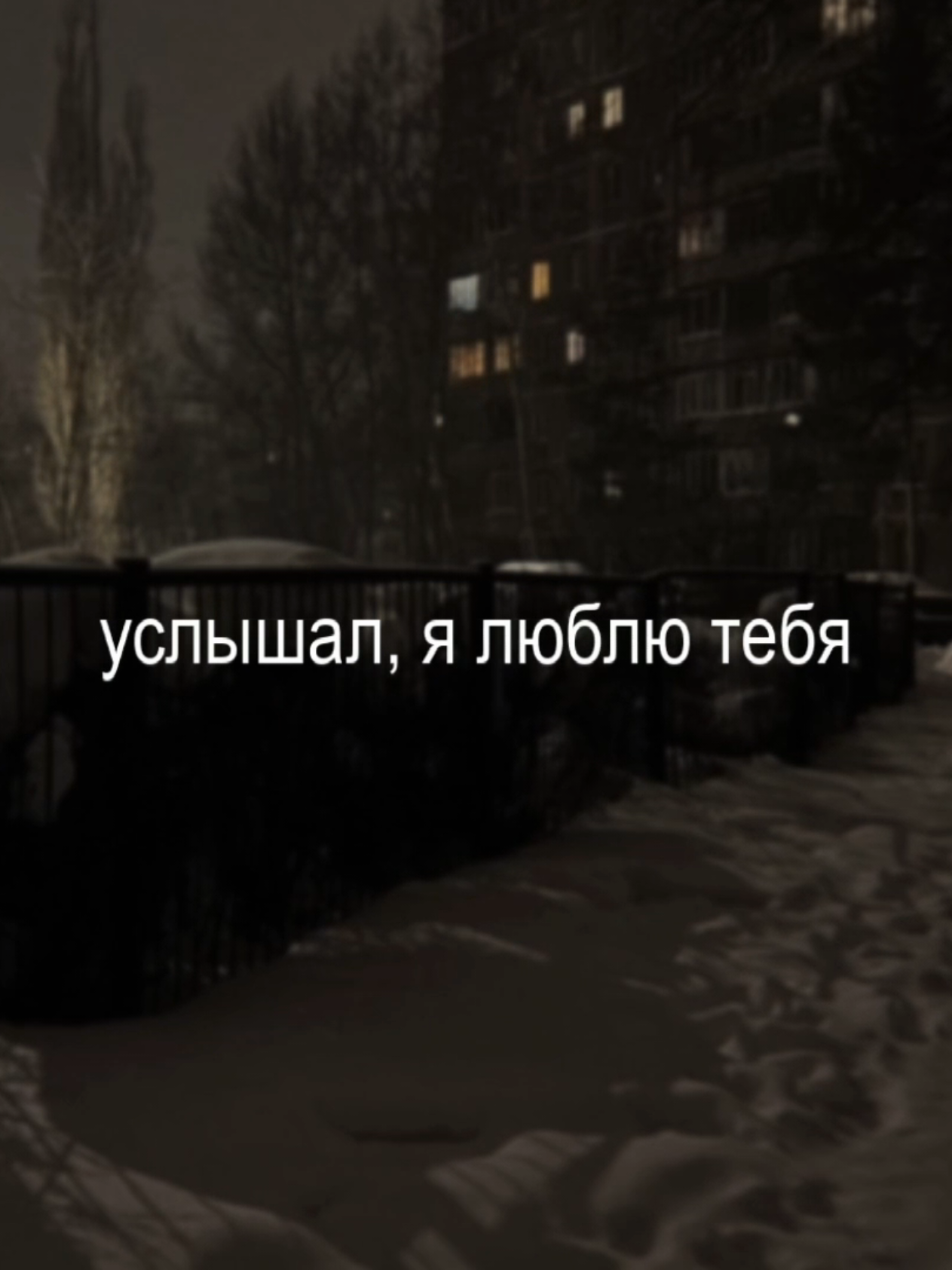 @musicfuz