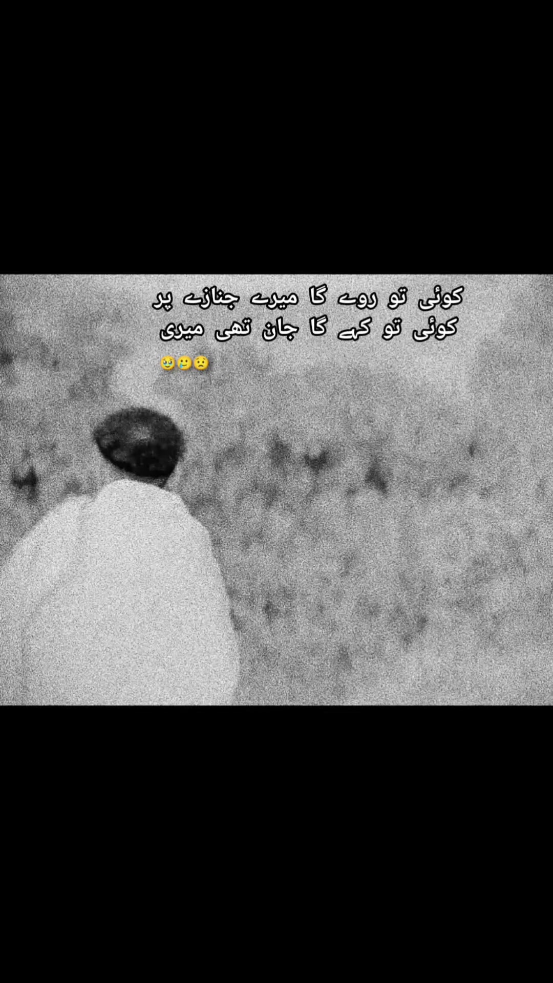 @𝗦𝗔𝗥𝗗𝗔𝗥 𝗛𝗔𝗡𝗔𝗡 🌪️