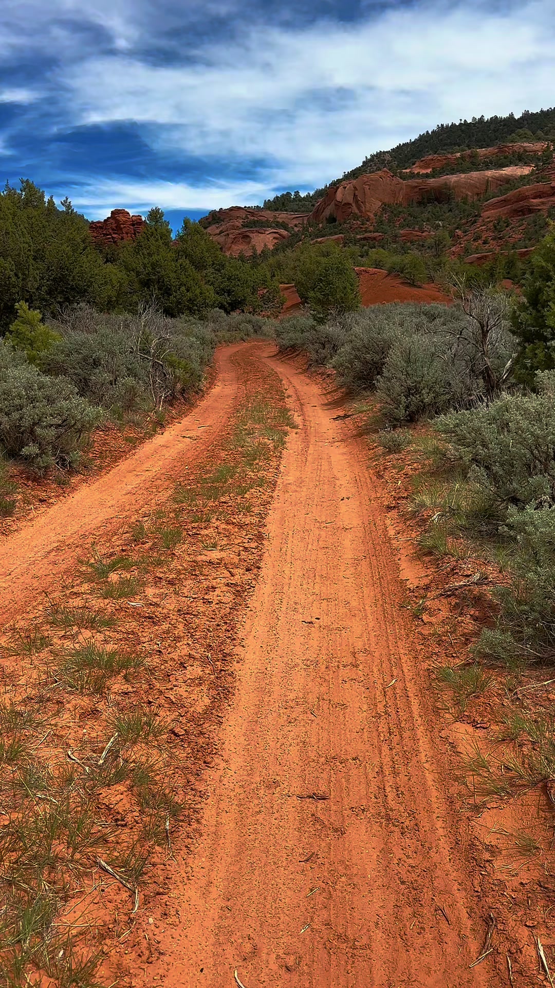 @Navajo Man