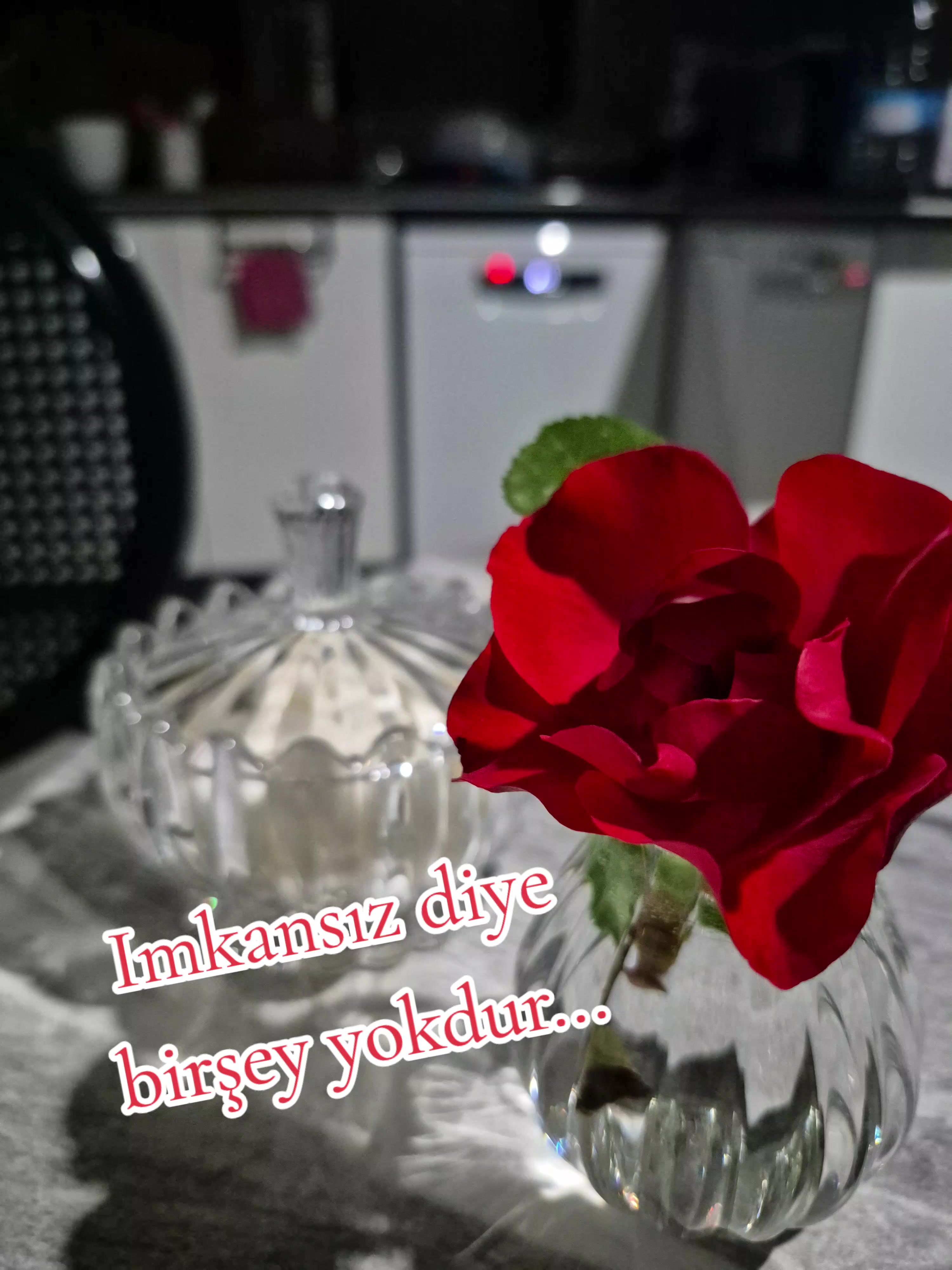 @hayatagülümse2