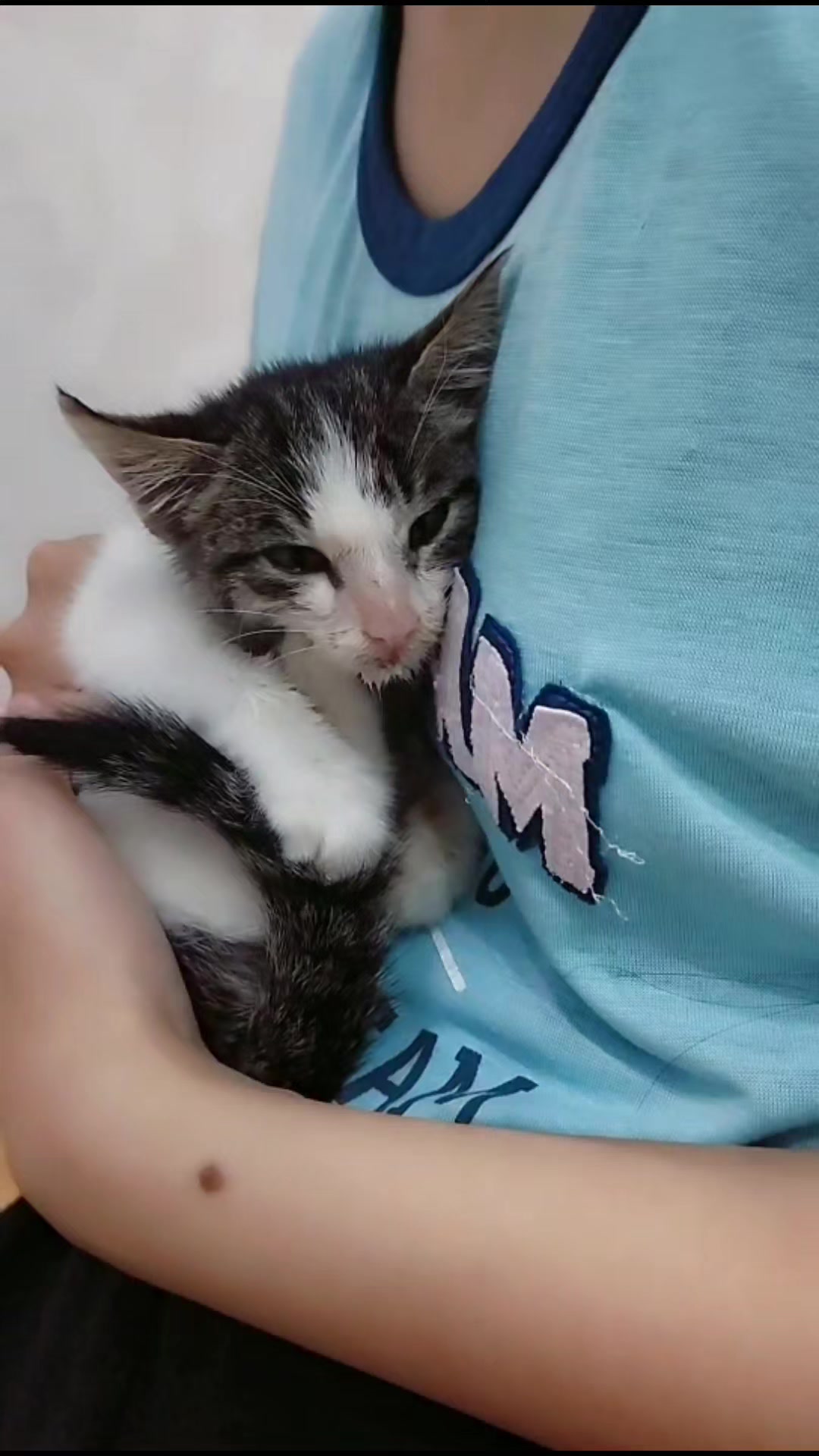 @🐾
