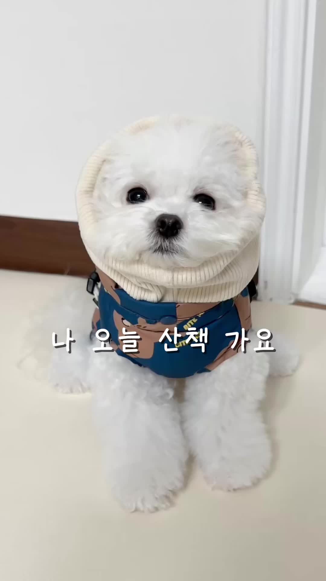 @메리하리
