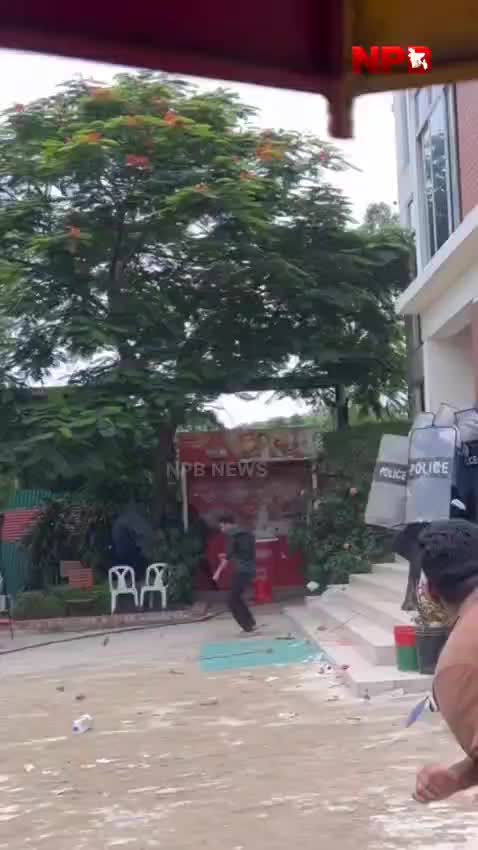 @BP_NAIM