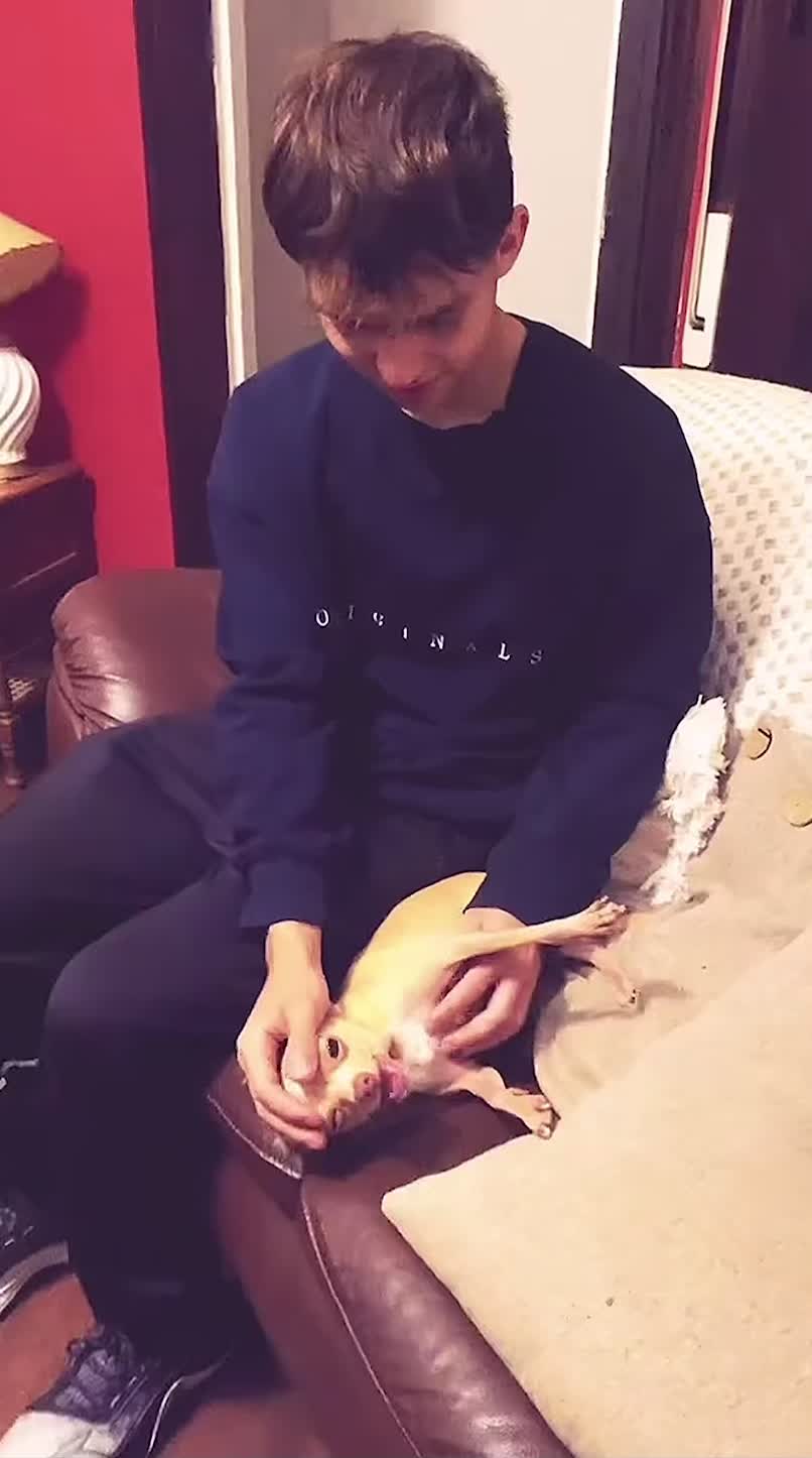 @melioverhere