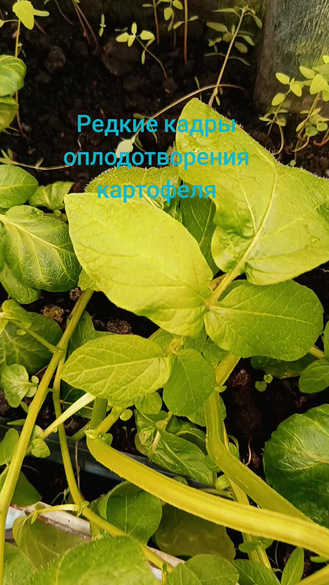 @Vladislav
