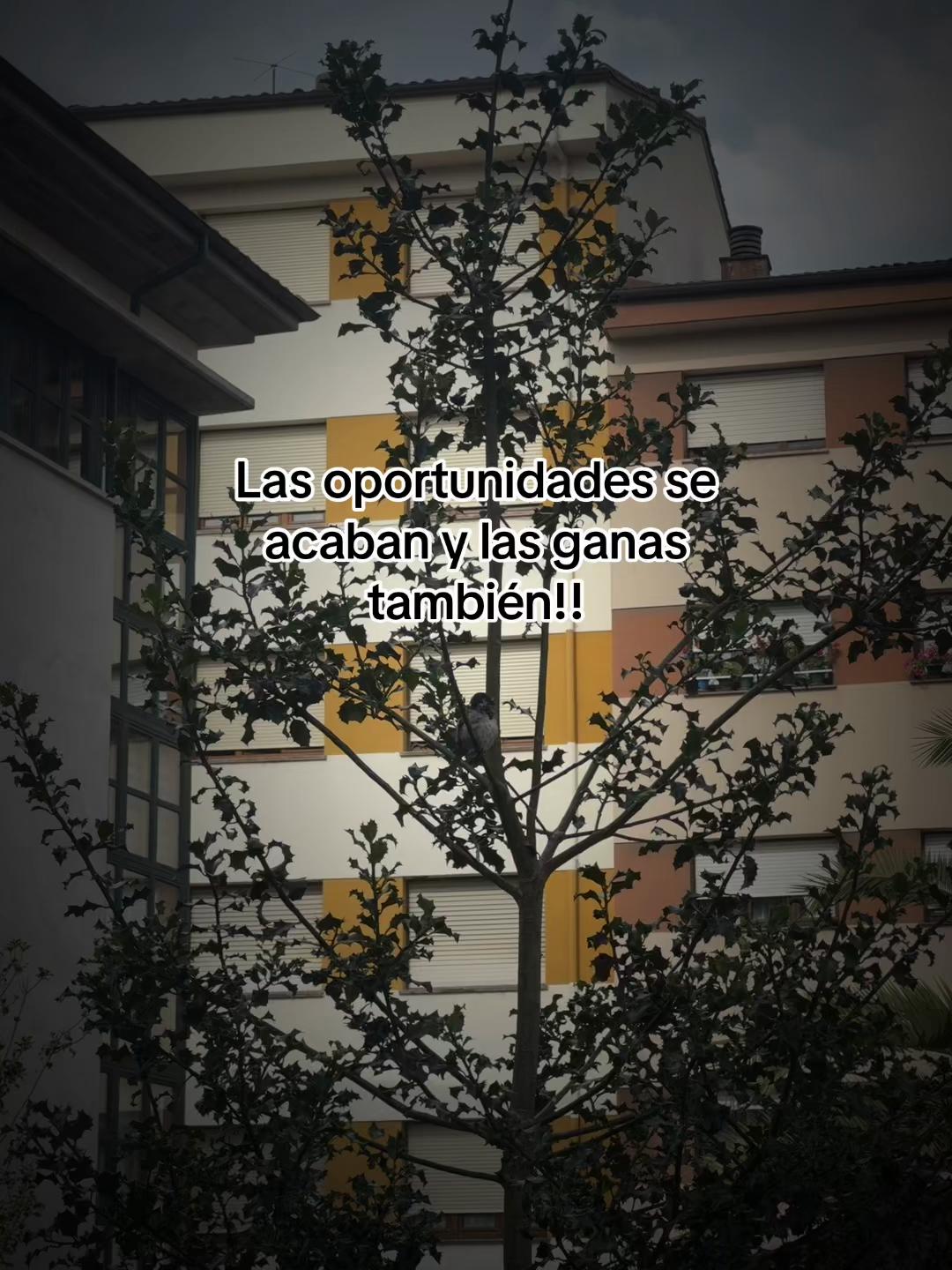 @flakita aly♋️🇪🇸🇬🇹