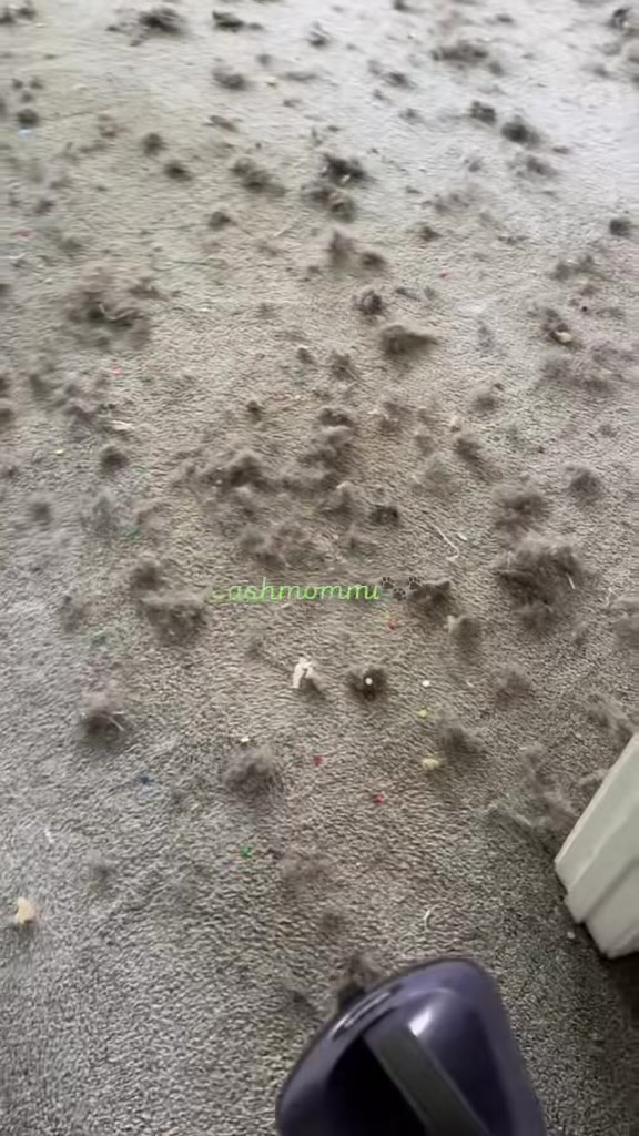 @CashmommiVacs