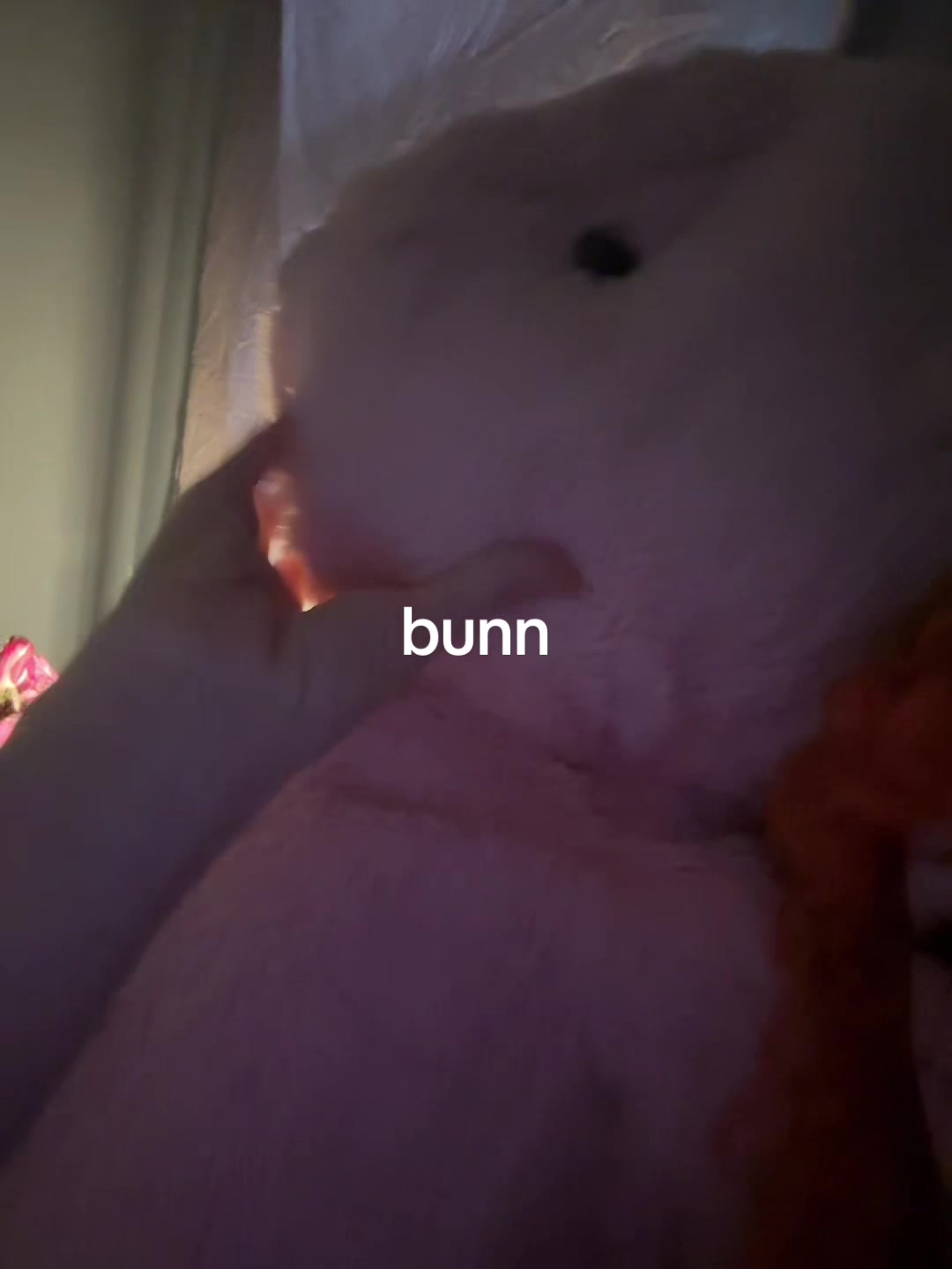 @max 🦝
