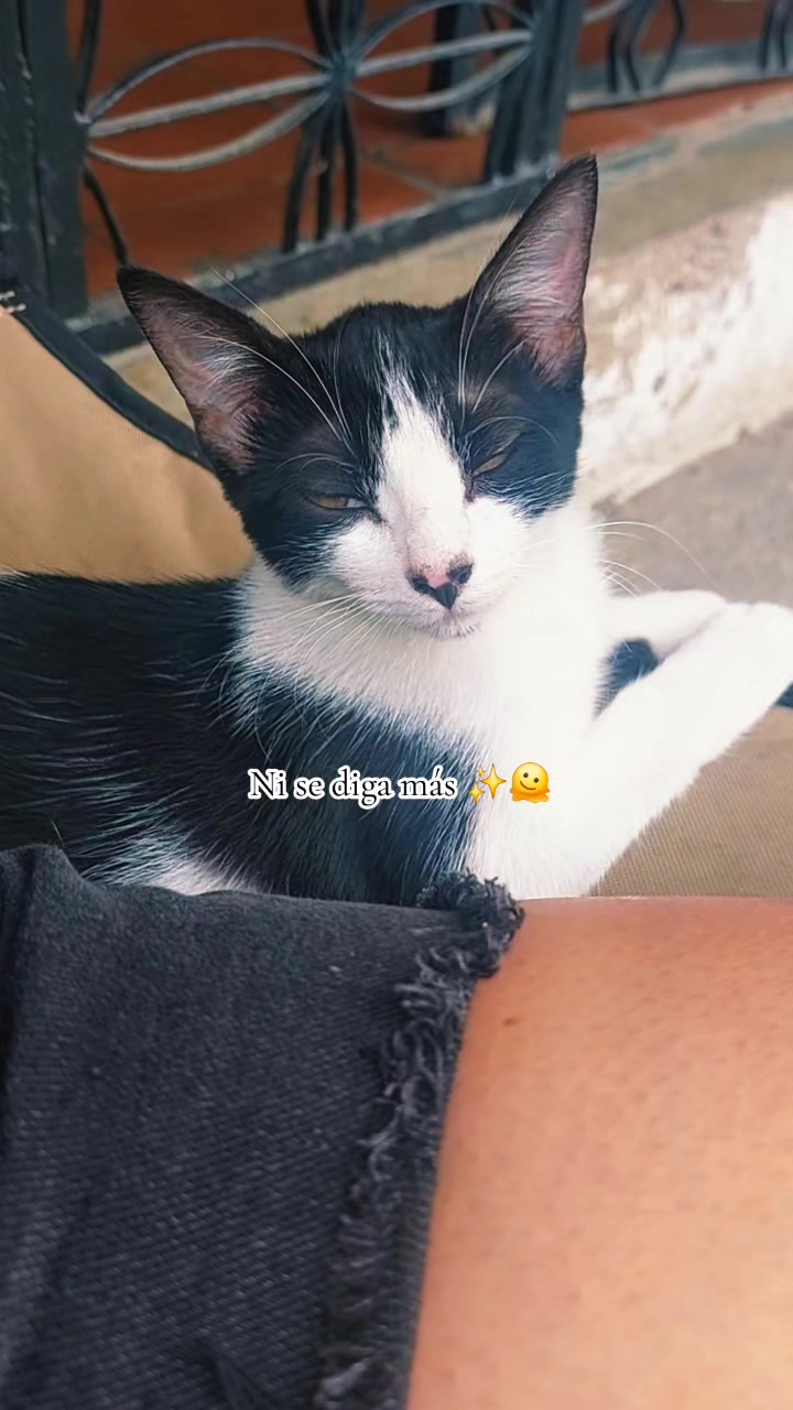 @🧚♀️ Jaii H. 🇻🇪 🧿🪬