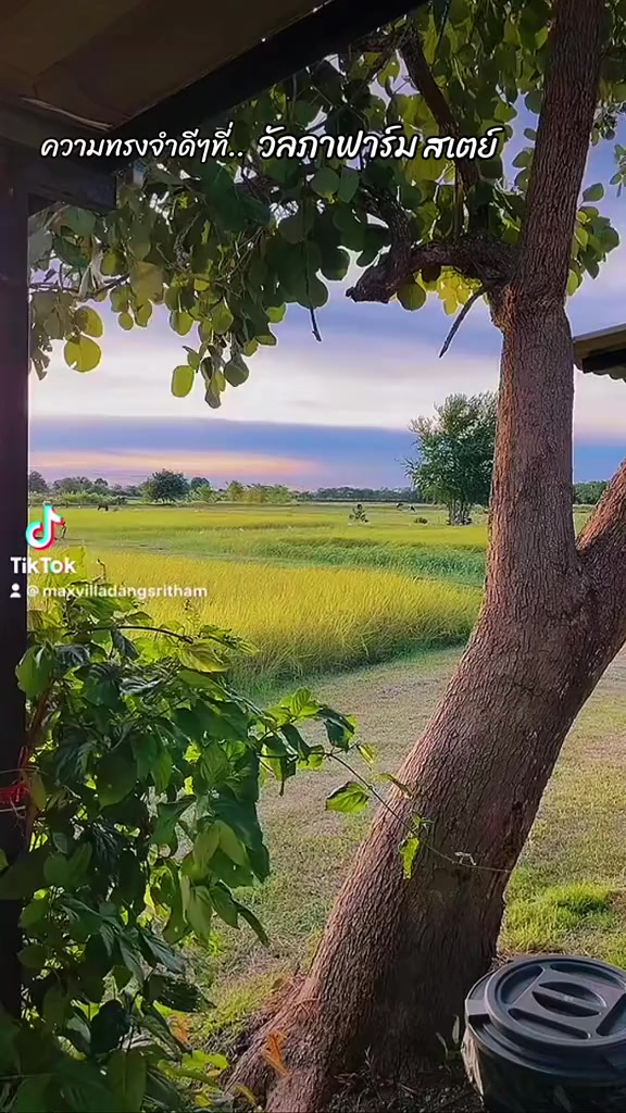 @Max Villa