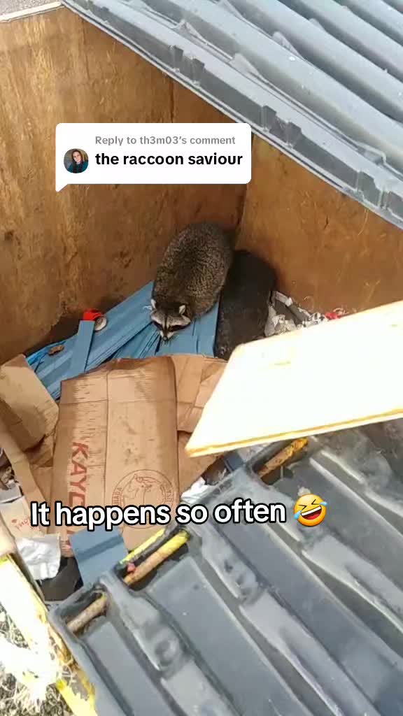 @nathanielfriesen