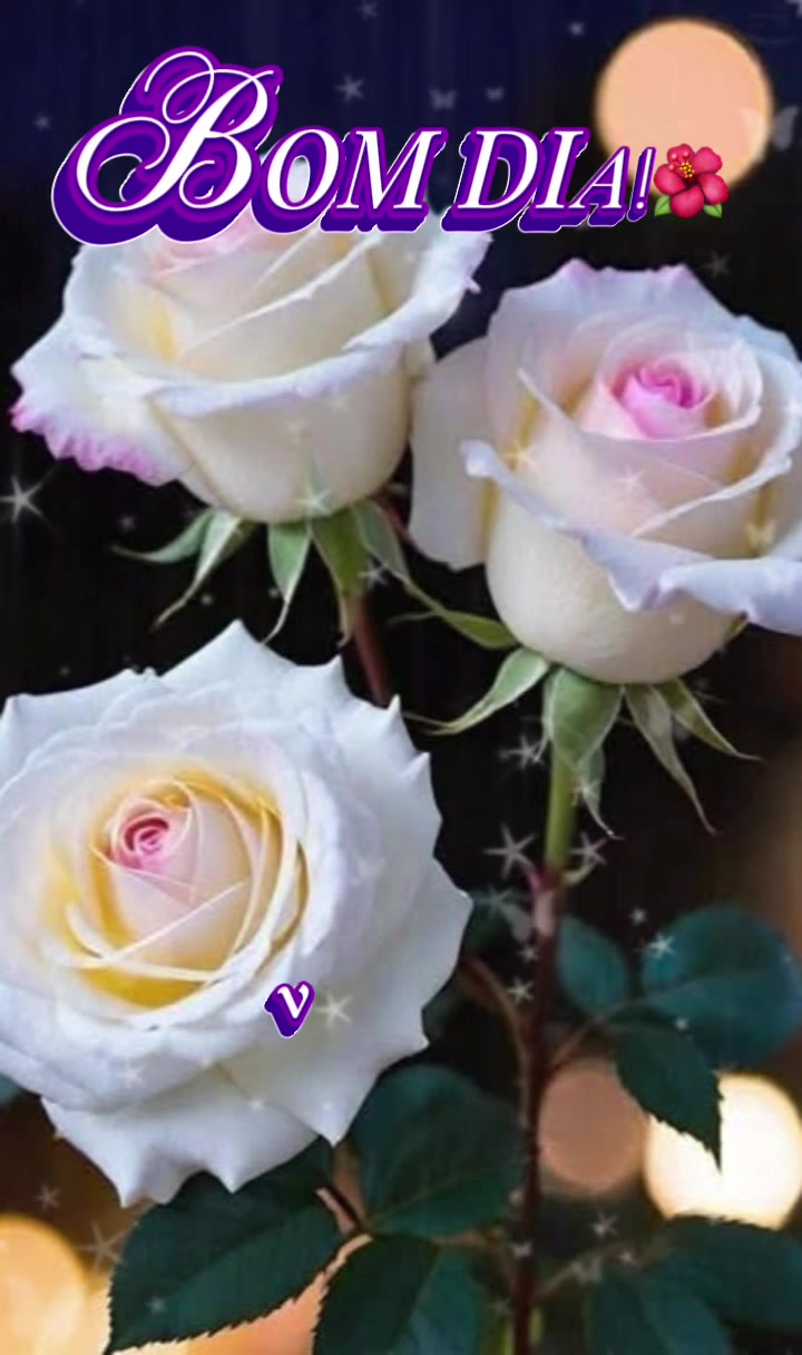@reflexoes_davida