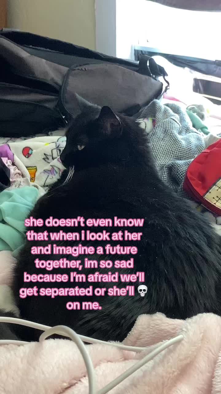 @💕ᴬˡⁱᶜᵉ💕