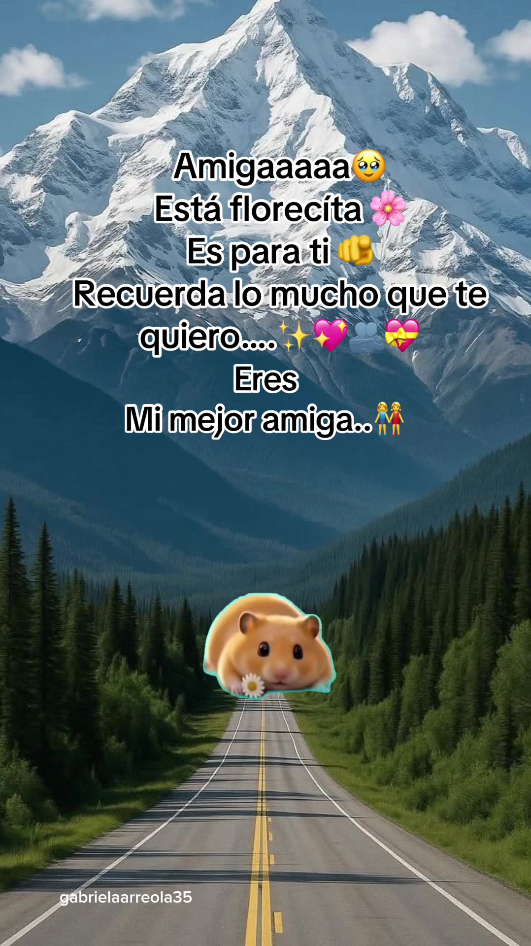 @gabrielaarreola35 🐚 💕