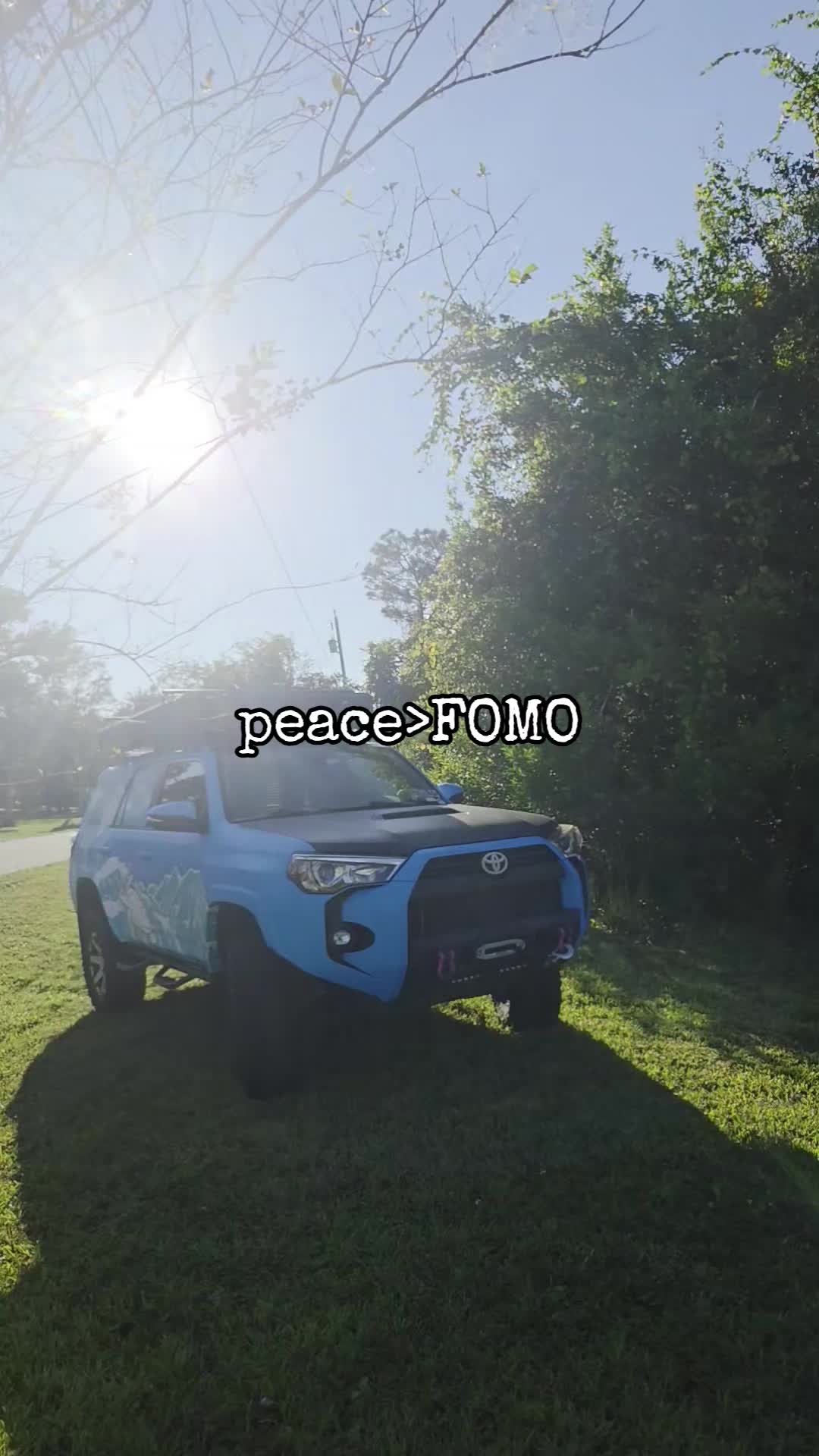 @🤙🌺 Aloha Ash 🌺🤙