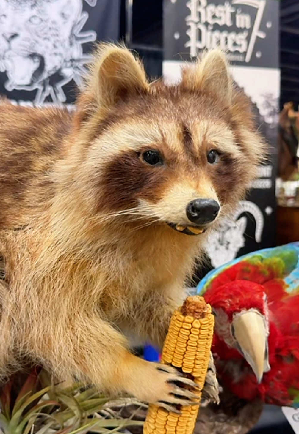 @Oddities & Curiosities Expo
