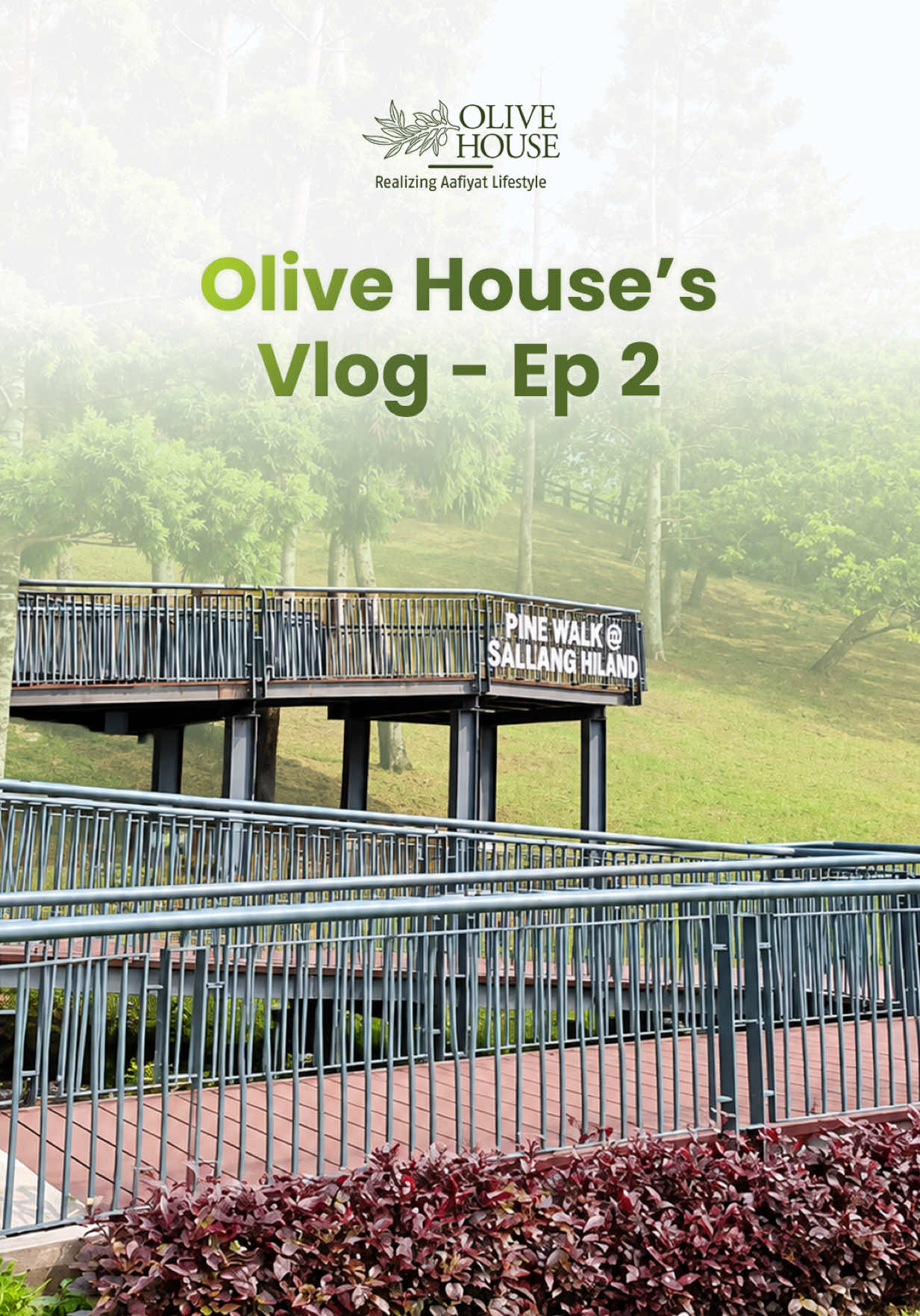 @Olive House Malaysia - Hq