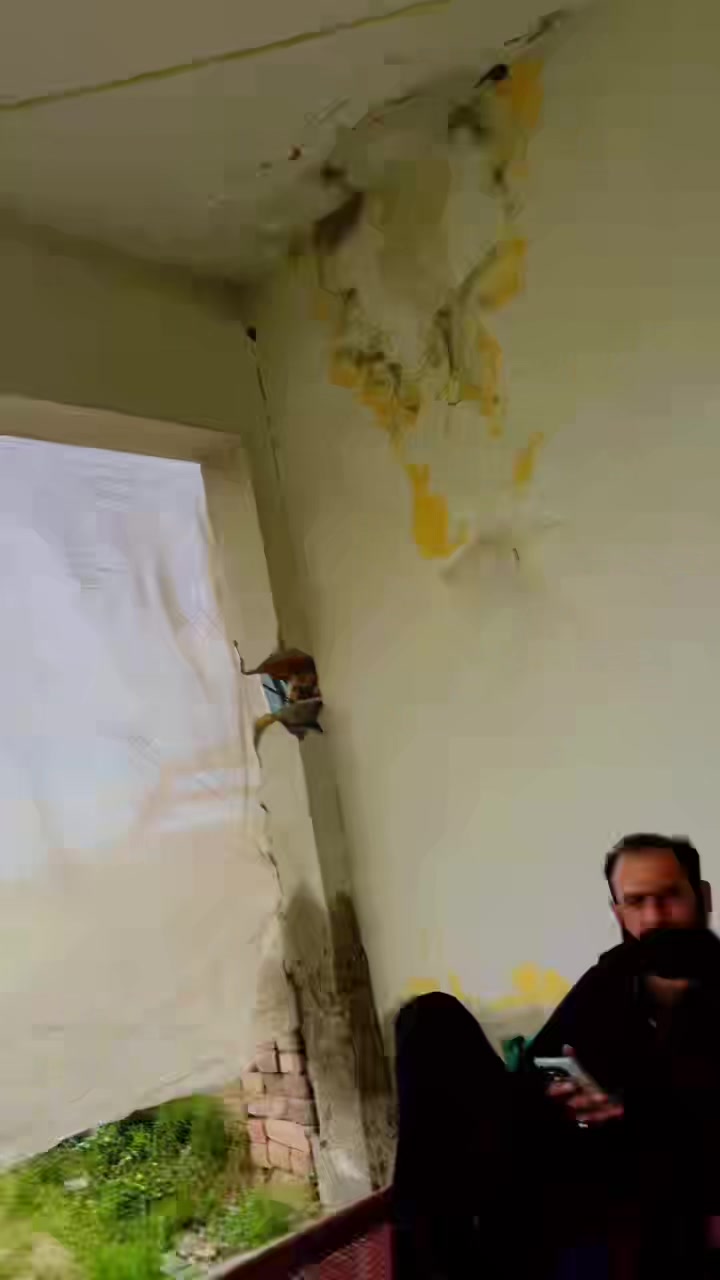@🔥چوہدری ارشد داتا موٹرز 🇵🇰