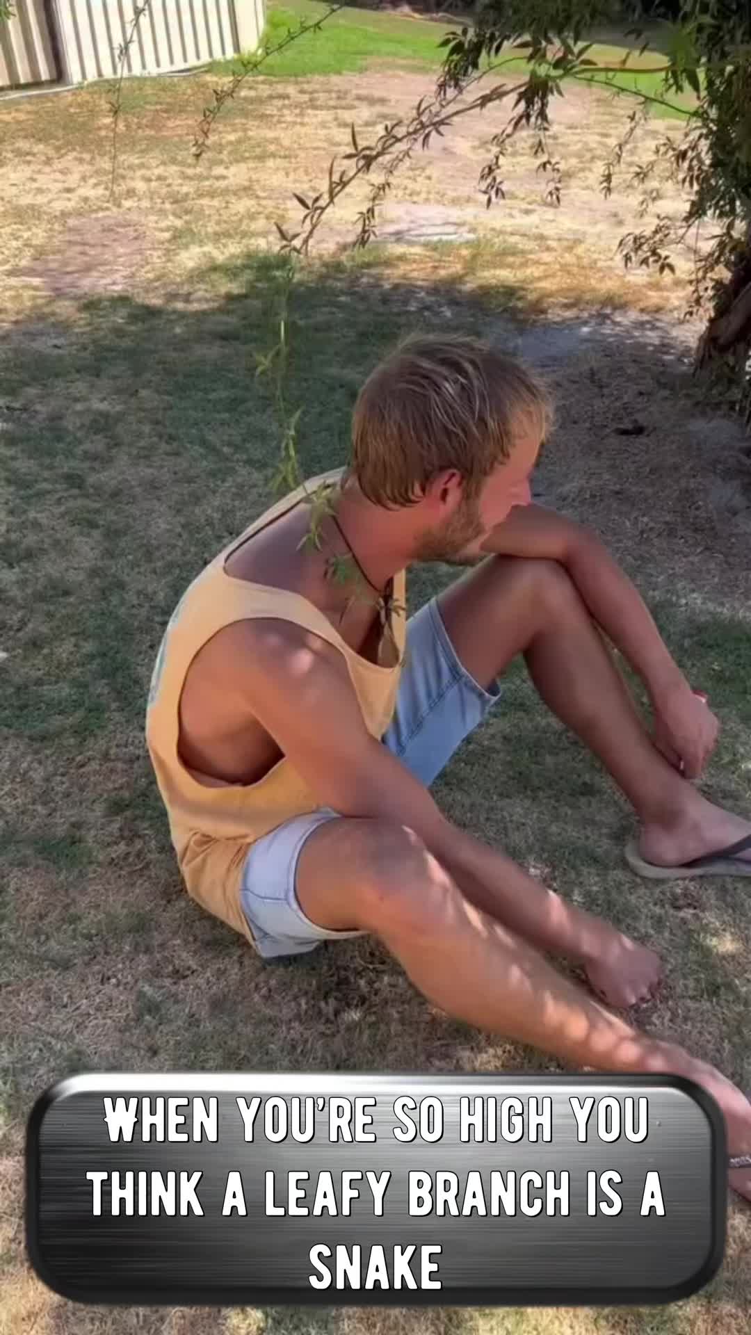 @Apachewolf