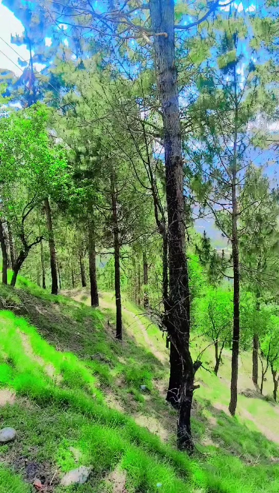 @Eجaz Qasim