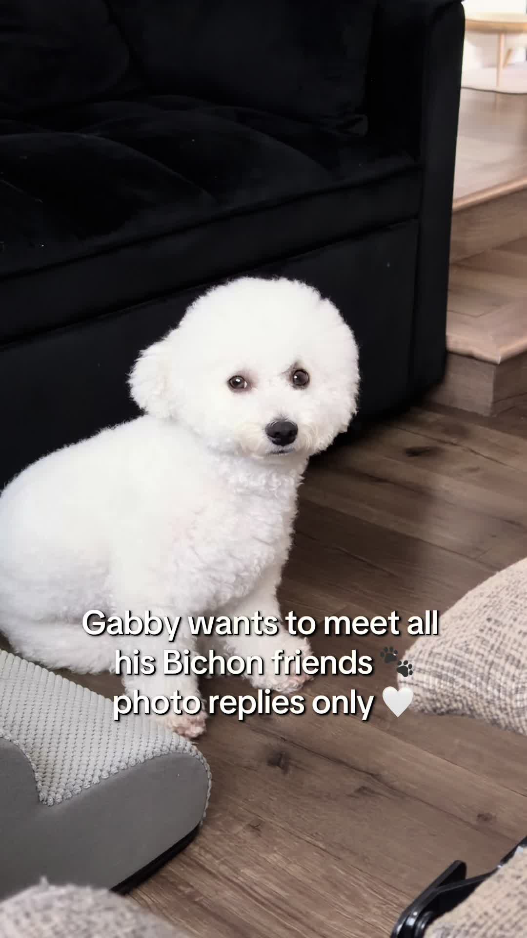 @sammy__and__gabby