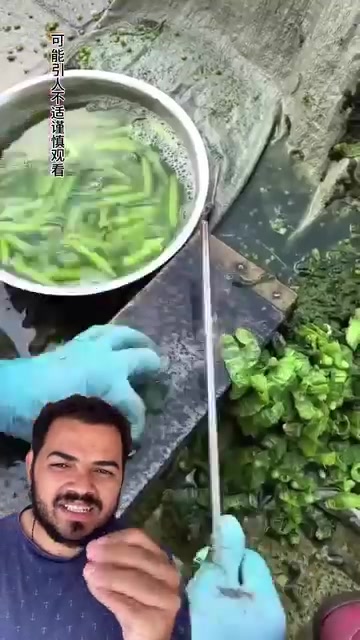 @Obrasilense