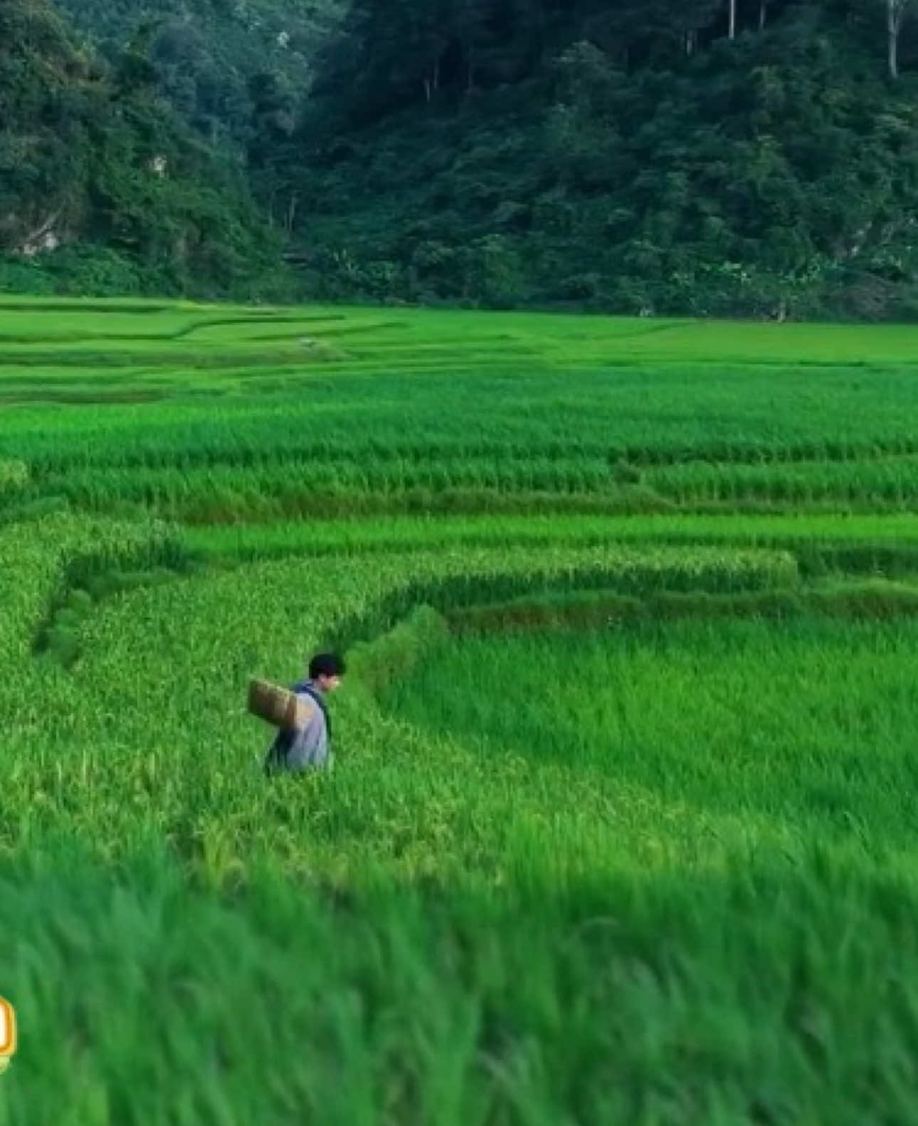 @Topping của tiệm Nui