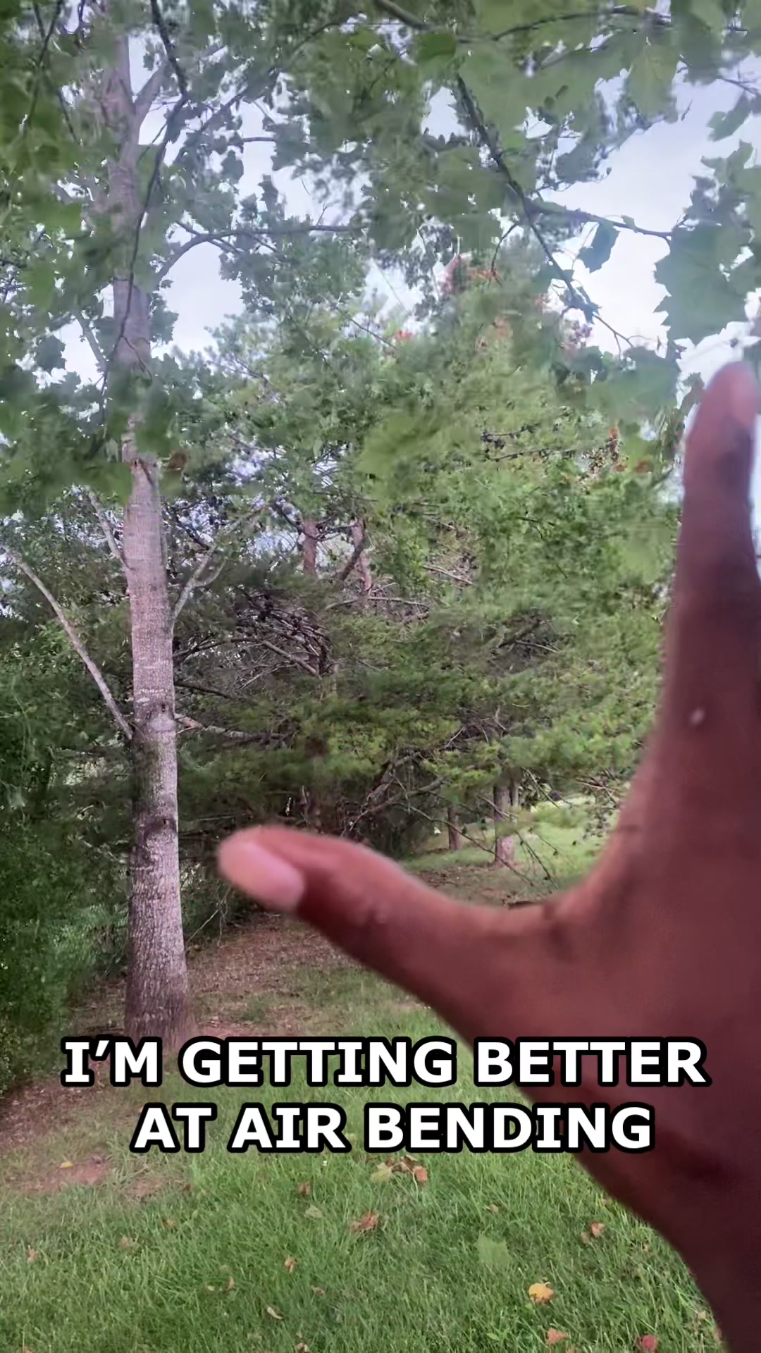 @Selflextion