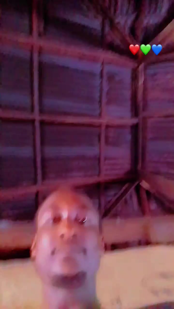 @GHETTO PRESIDO🤴🎙️