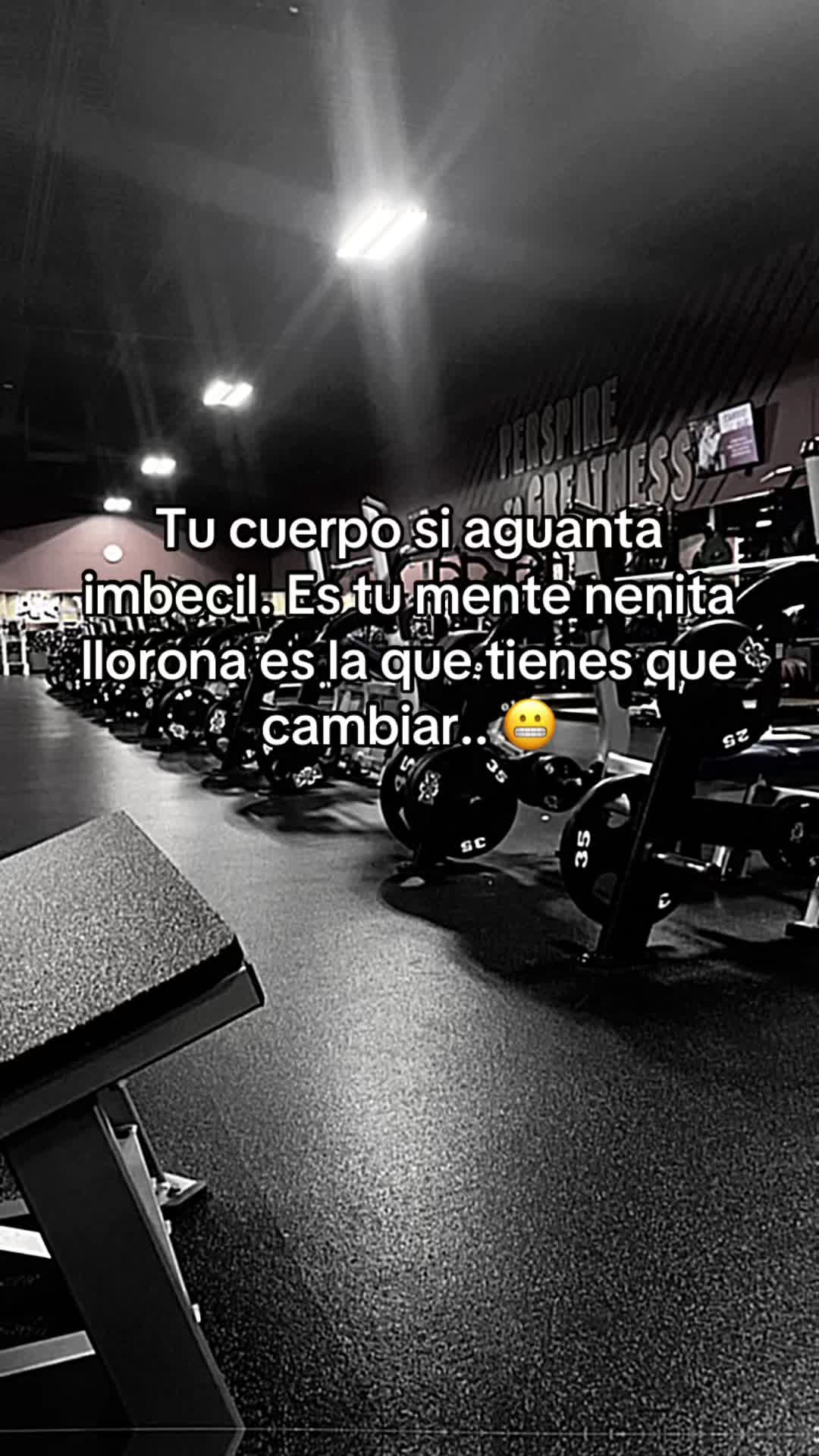 @️EL JR
