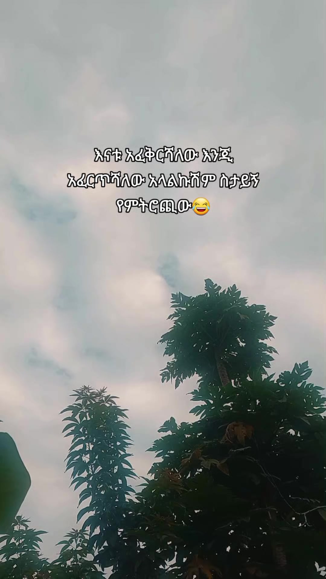 @ᴢᴏʟᴀ✧