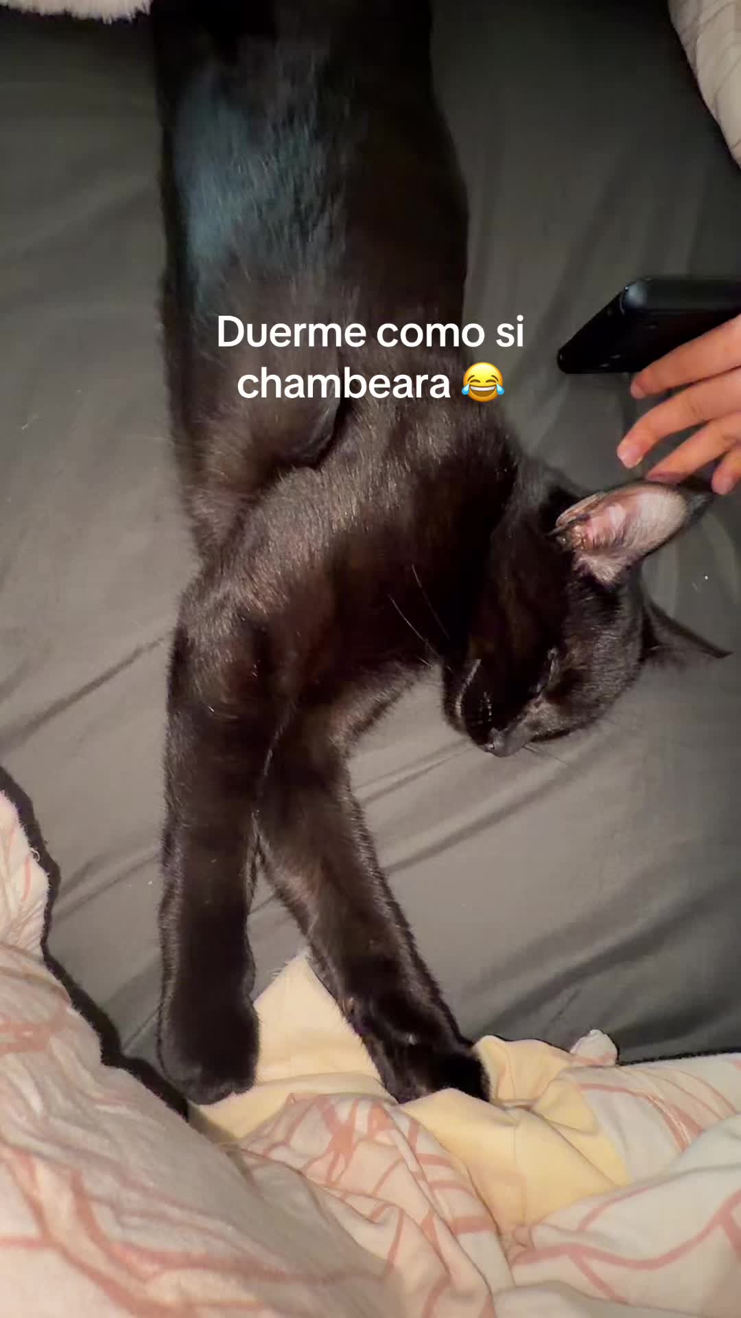 @Cristina💎