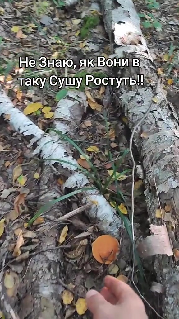@Смішно з Бодяном😁