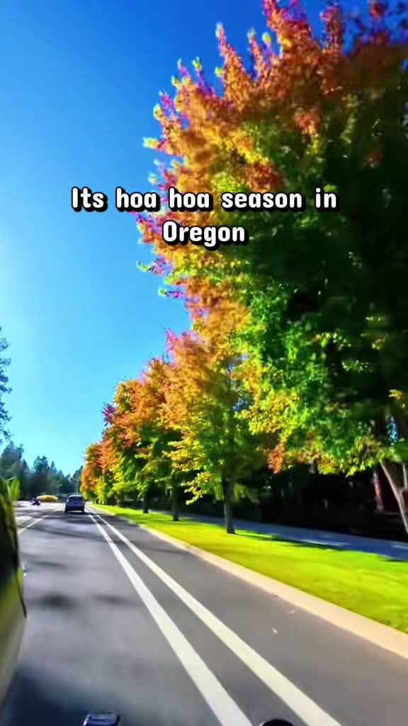 @High Desert Nightster