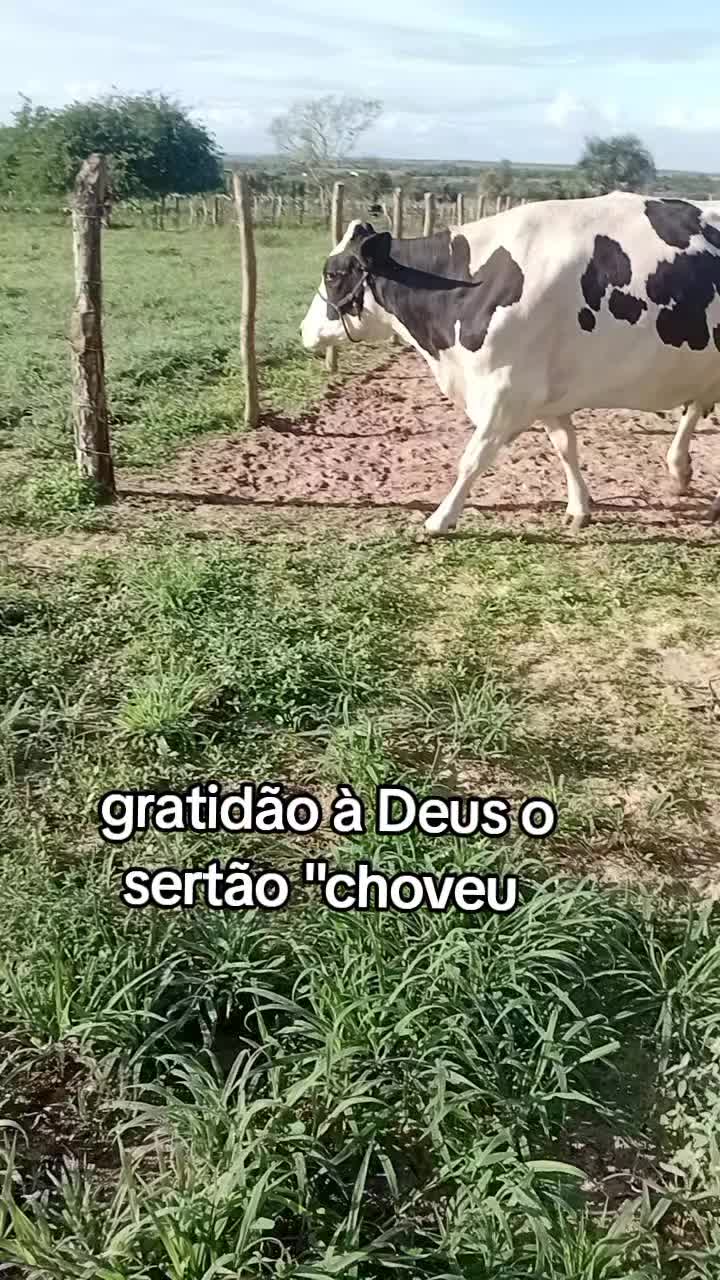 @jocriador