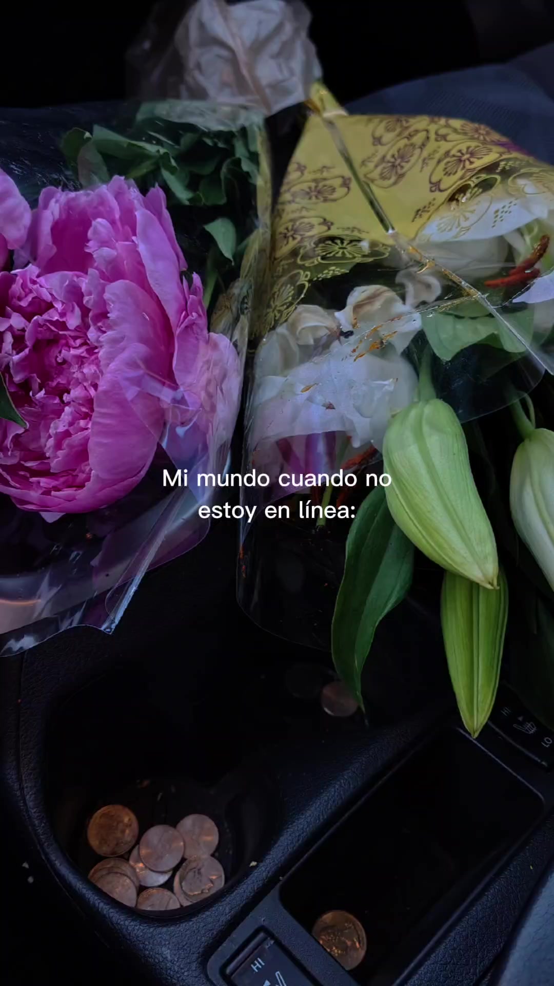 @😶KDBR$