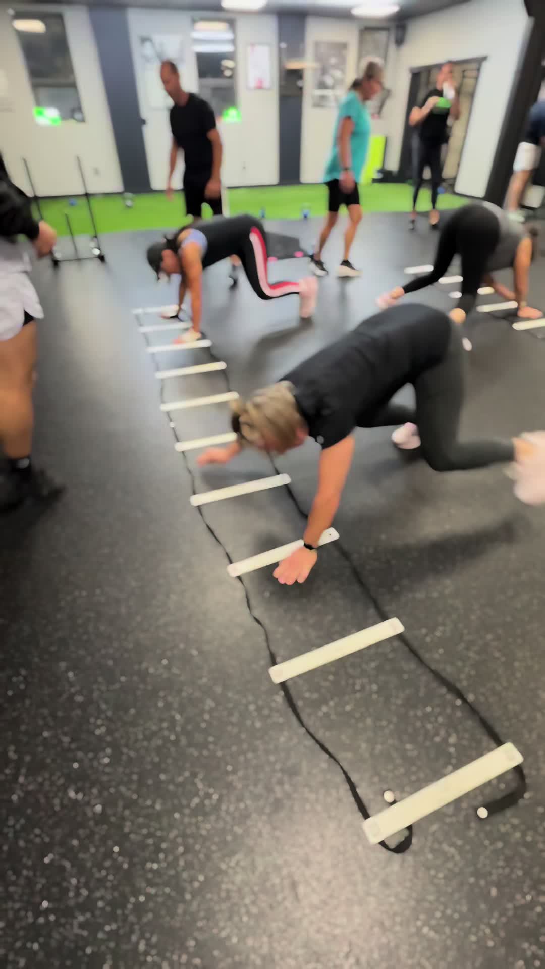 @Freddylive Fitness