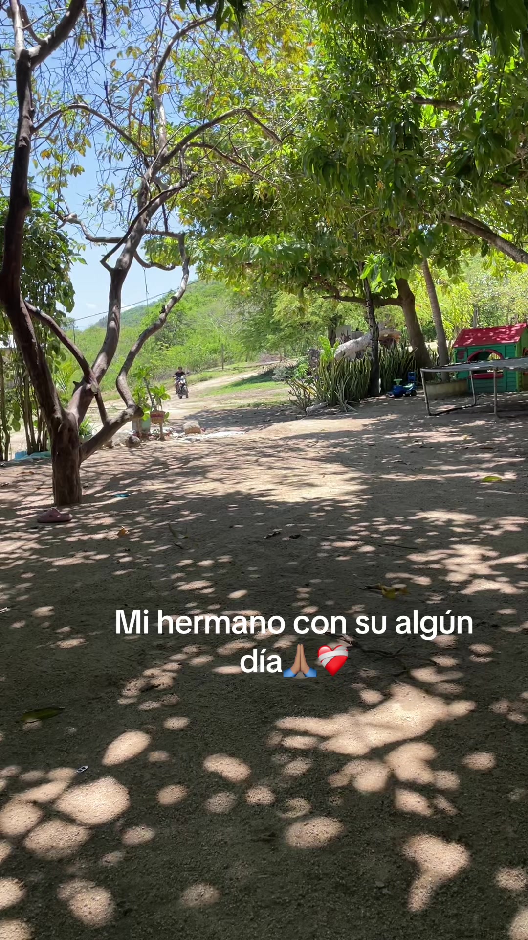 @AV