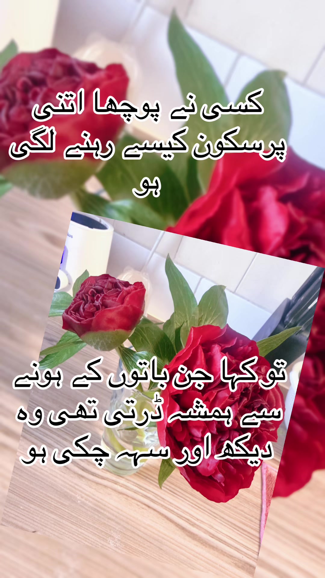 @Saنia فaتima۹۷۹۹