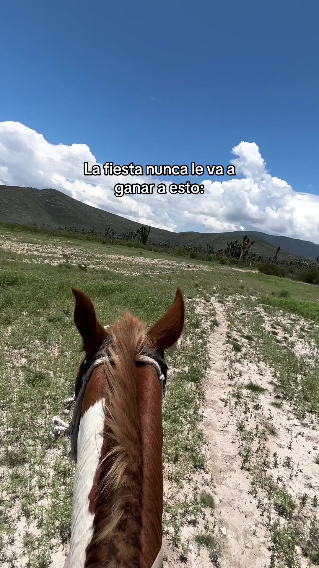 @Zariel Bracs