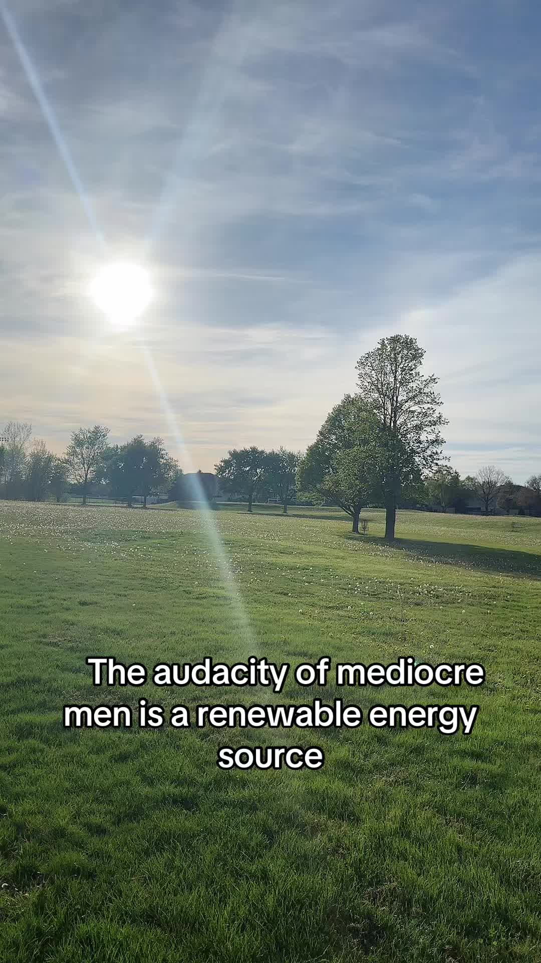 @softlifealchemy
