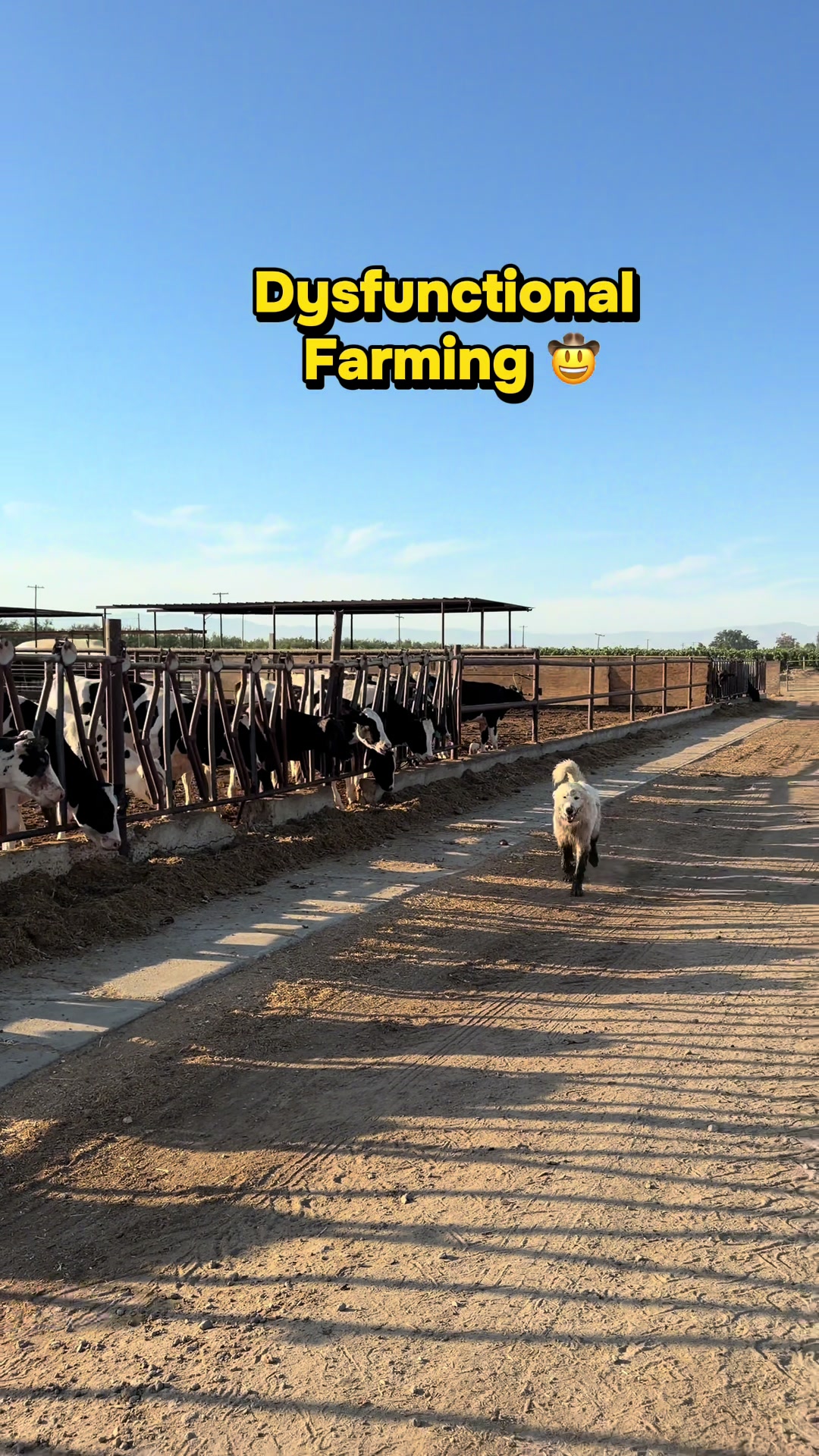 @Skylar Farming