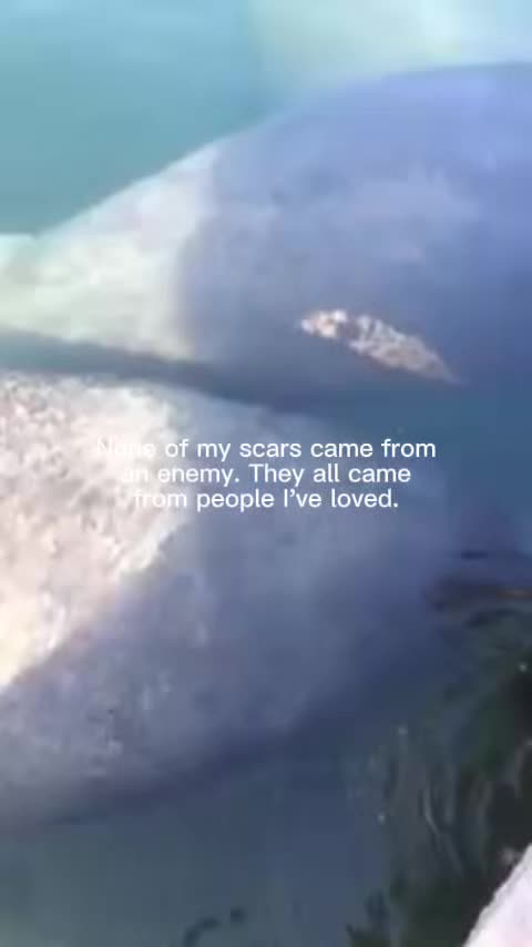 @Susie