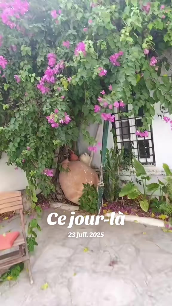 @Loulou❤️لولو