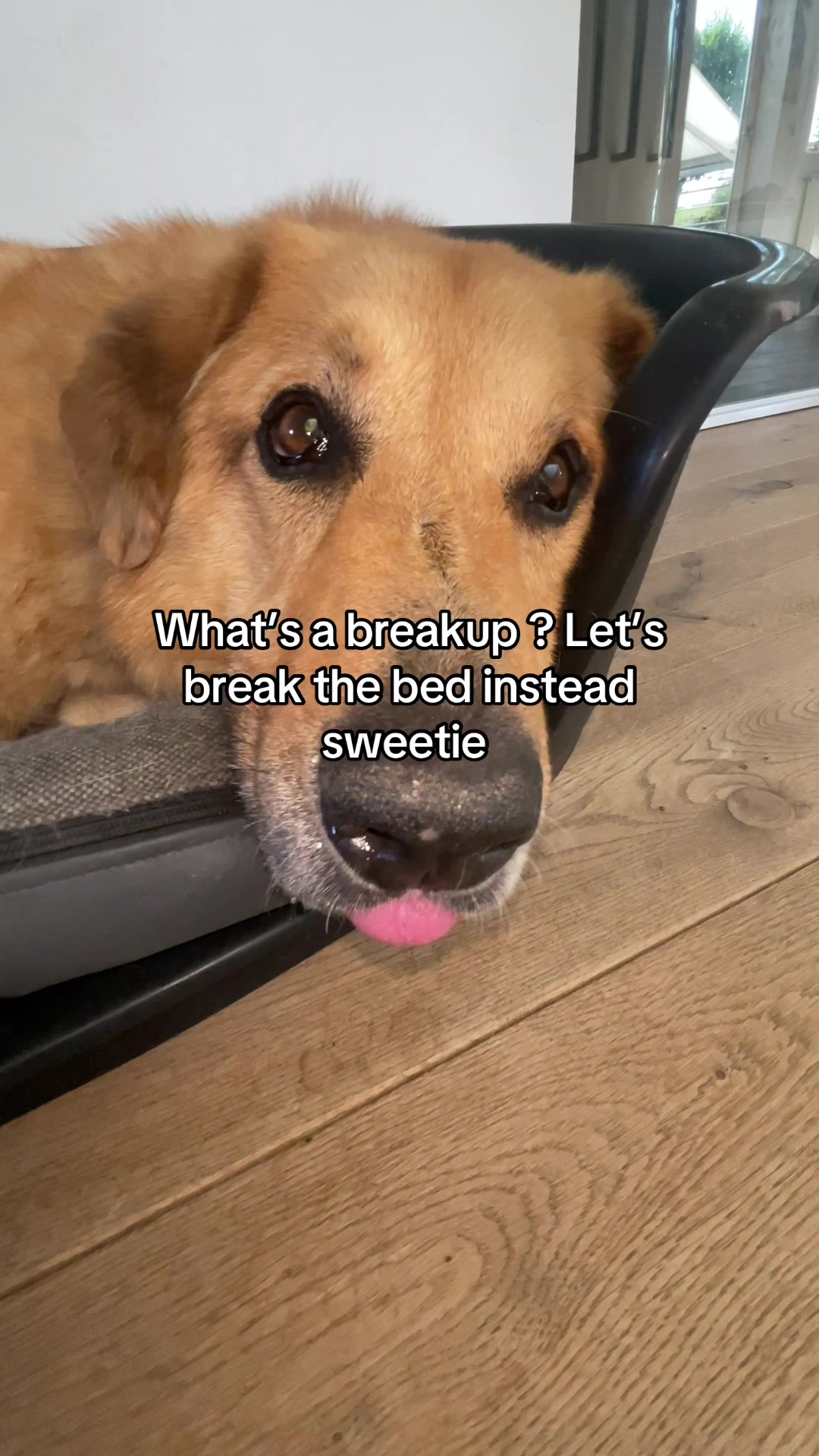 @Neo