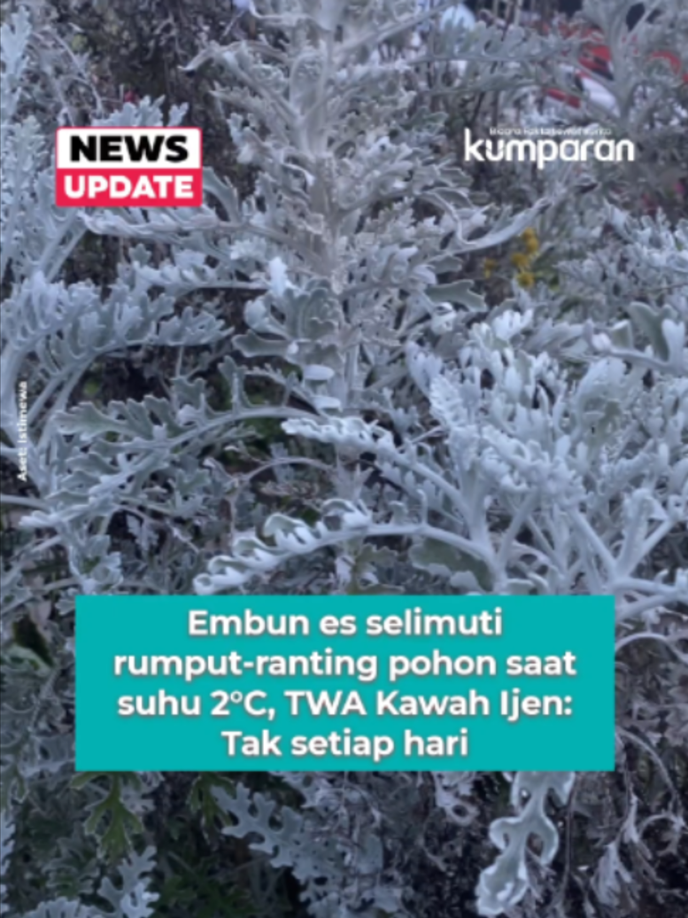 @kumparan