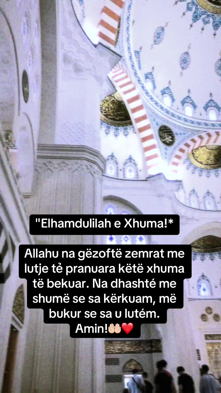 @Elton Gjana