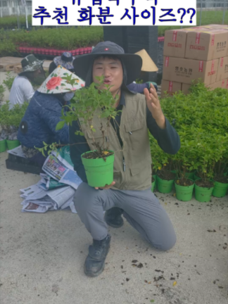 @농업회사법인 영호(주)